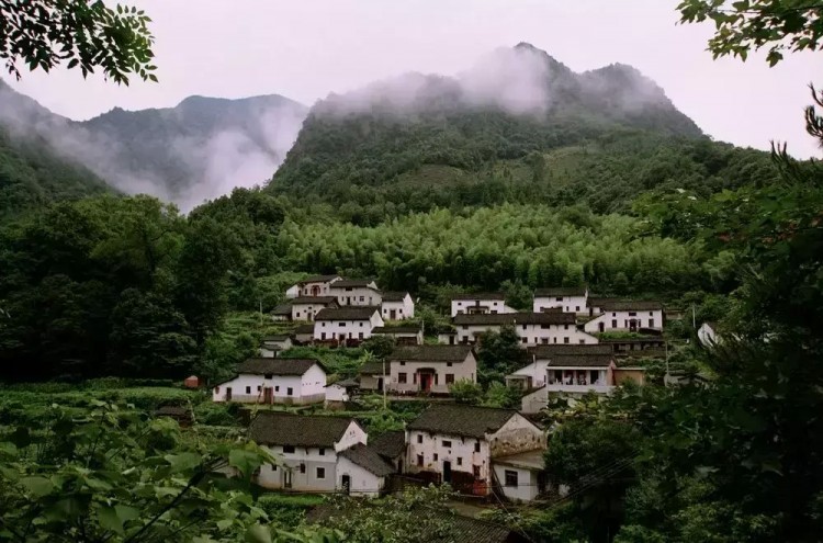 景美人少来石台仙寓山给身心做个森林浴SPA